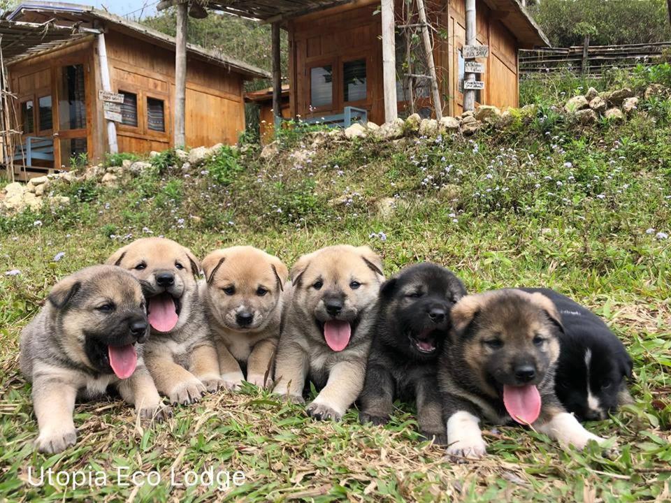 Utopia Eco Lodge Sapa Exteriér fotografie